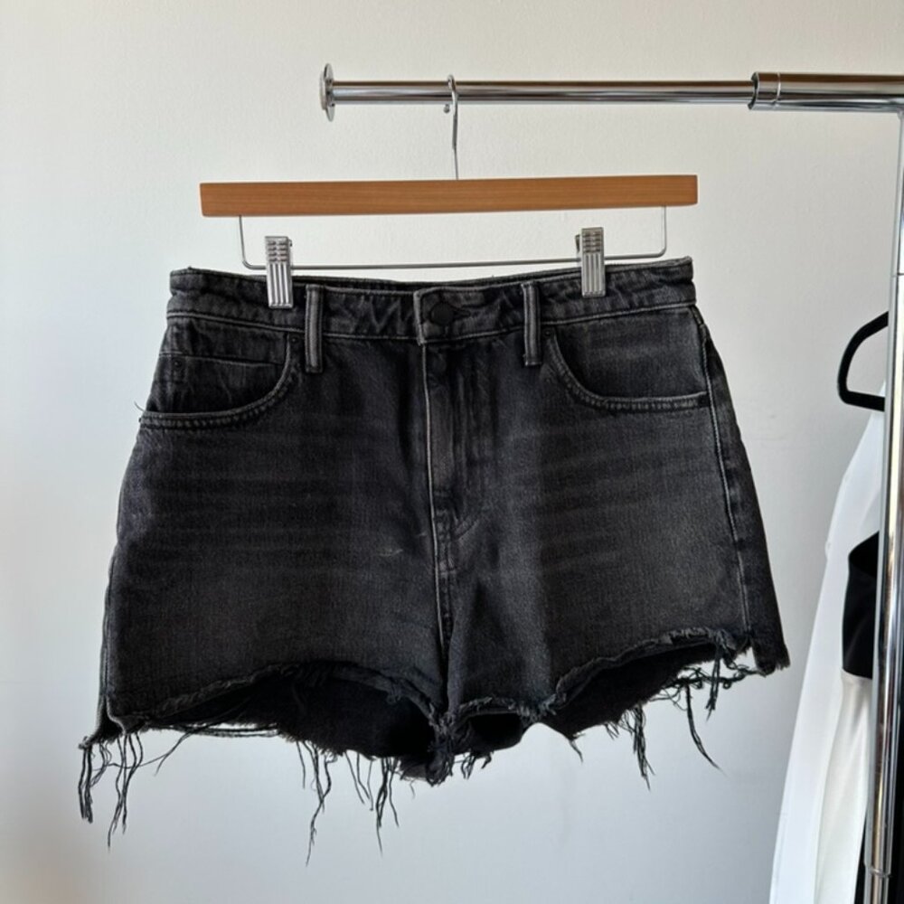 Alexander Wang Bite Shorts, Light Black - Size 28